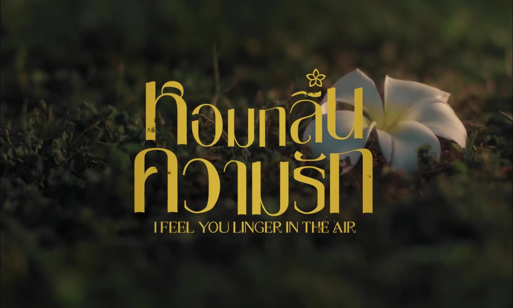 Watch Any Show For Free With Youku