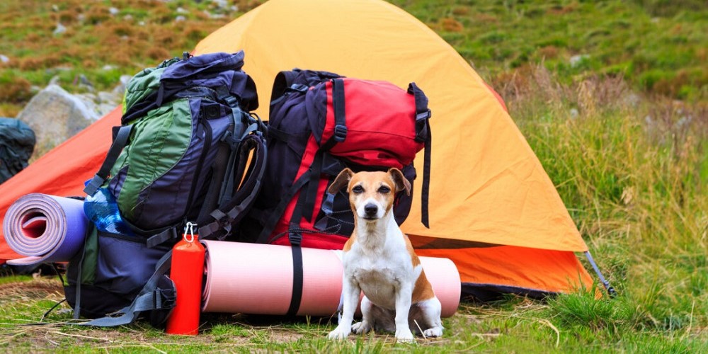 The Benefits of Investing in Quality Outdoor Equipment