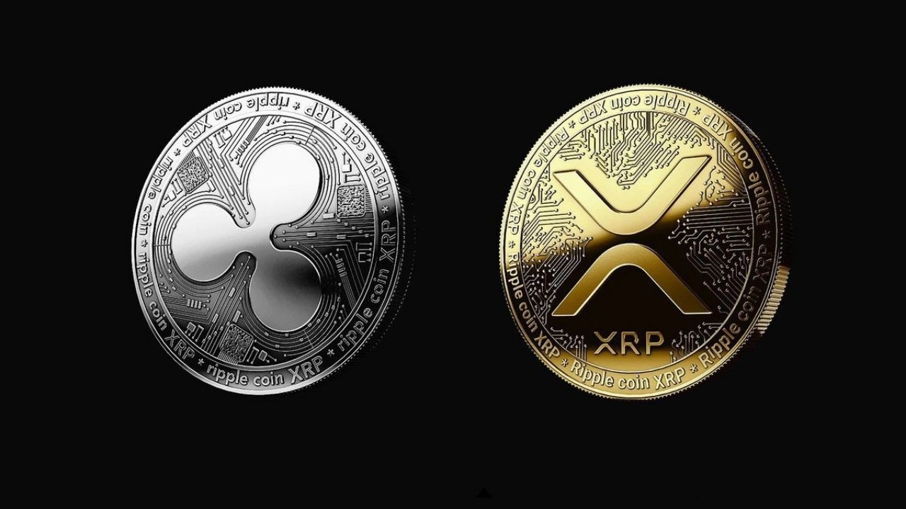 What Is the Difference Between XRP and Ripple?