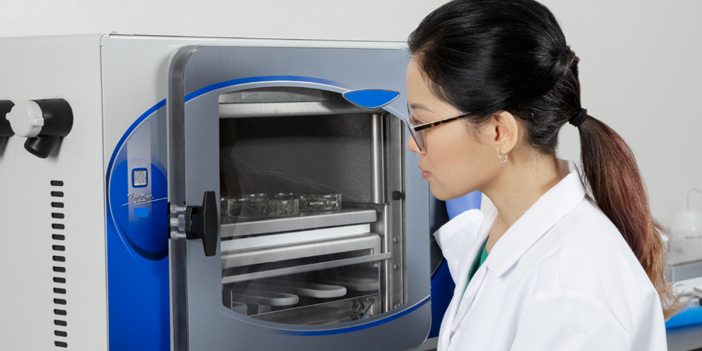 Amazing facts about the usage of mini freeze dryer