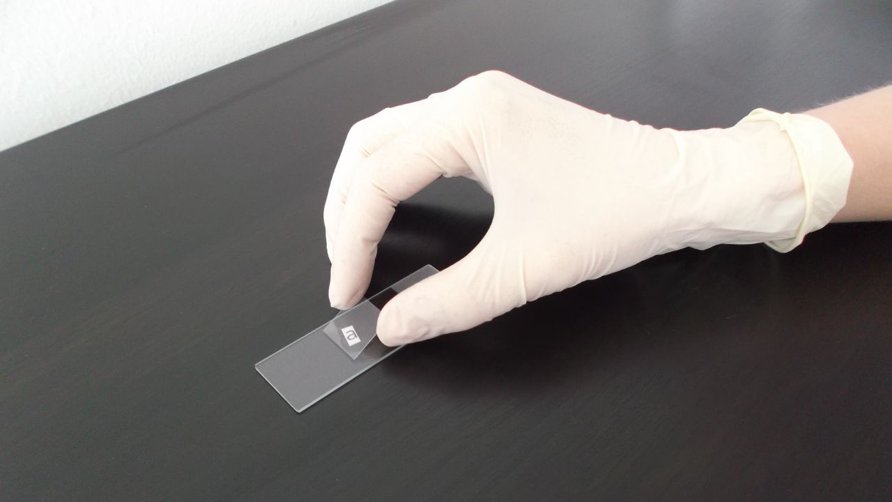 Looking Through the Lens: Why the Right Cover Slip Matters