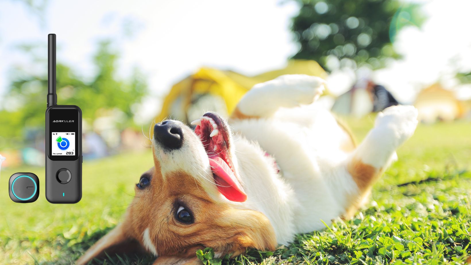 Some Outstanding Features of the Aorkuler GPS Dog Tracker