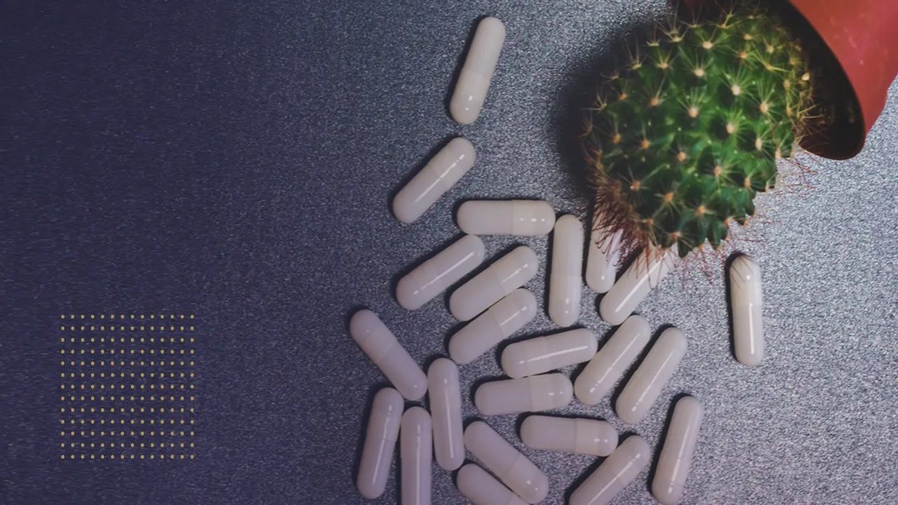 How GSH World Delivers Quality in Nicotinamide Mononucleotide Bulk Orders