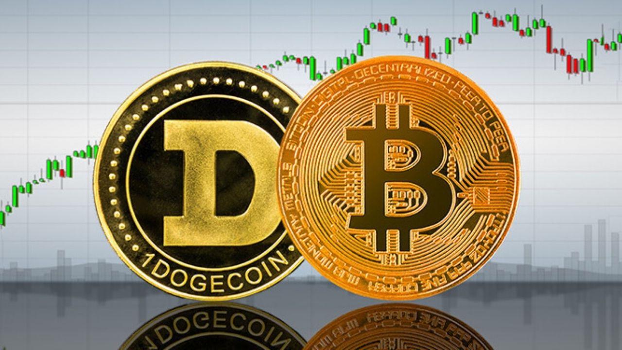 What Is the Distinction Between Bitcoin and Dogecoin?