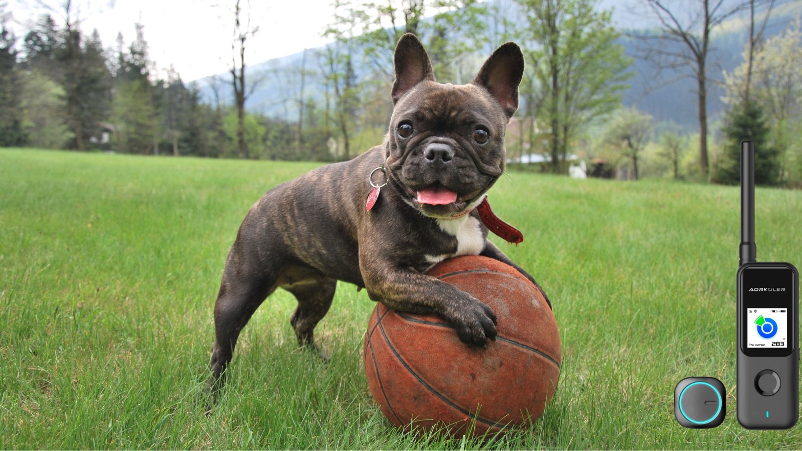 Is Investing in a Dog GPS Tracking Device Any Good?