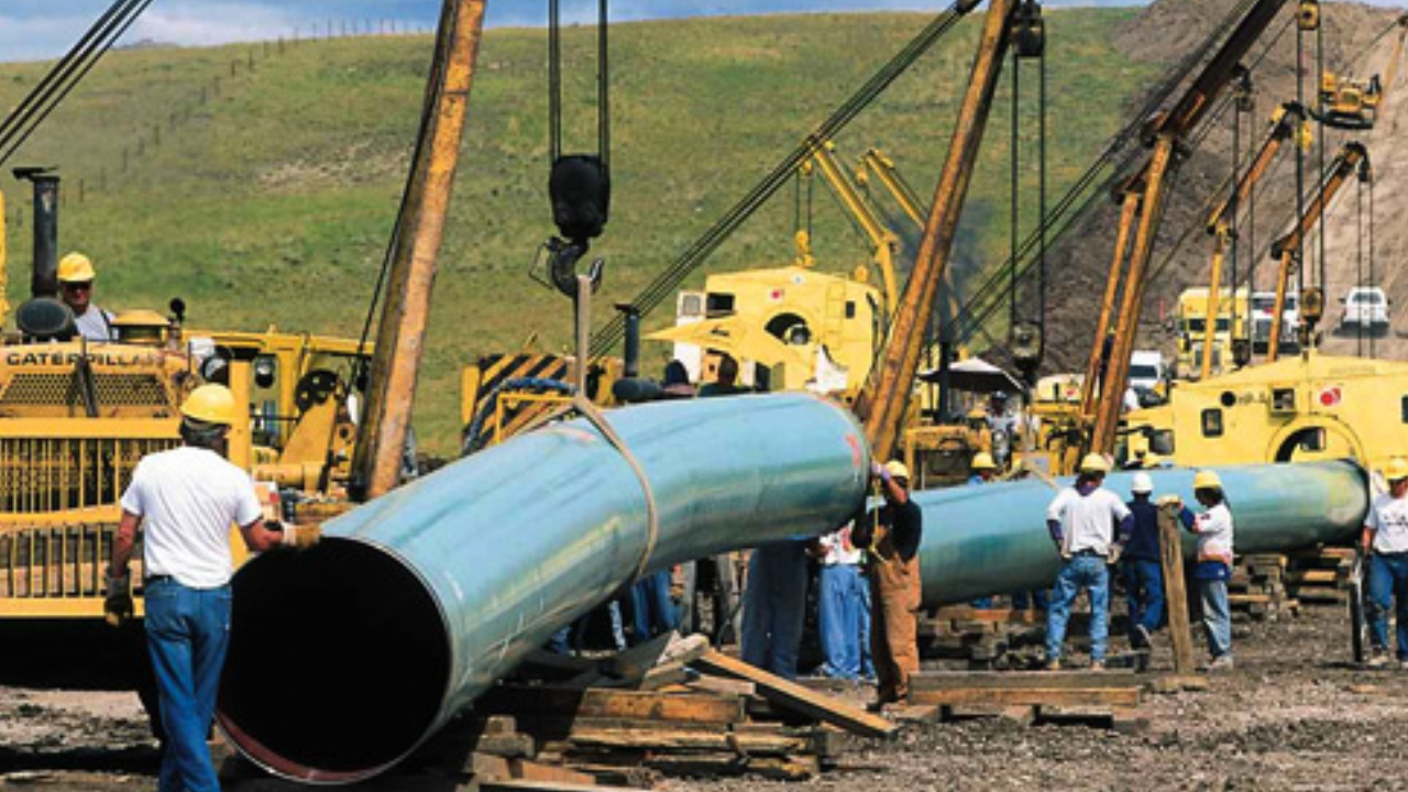 What Are the Dangers Related to Buying Pipess Upheld by Counterfeit Certificates?