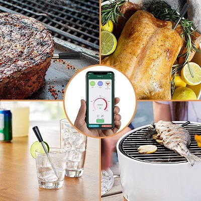 How to Decode a Meater Probe’s Temperature Readings: An Easy-Peasy Guide