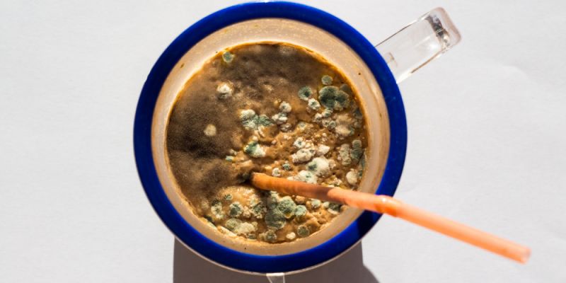 Can Mold in Water Cause Respiratory Problems or Other Illnesses?