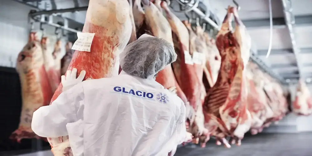 Points to Ponder Before Trying Donkey Meat