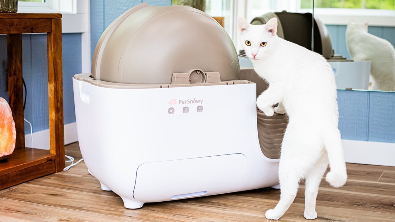 Tech Meets Convenience: The Best Smart Litter Box for Modern Homes