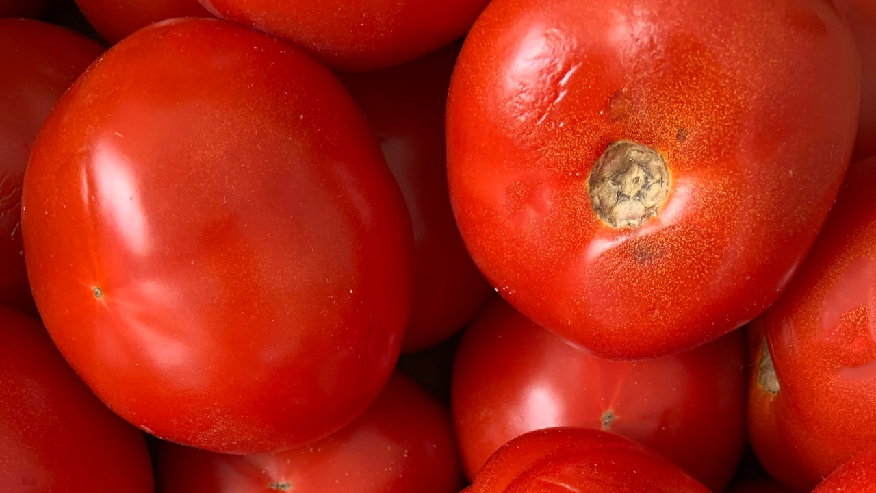 A Comparative Analysis of Disposable E-Cigs versus Refillable Devices