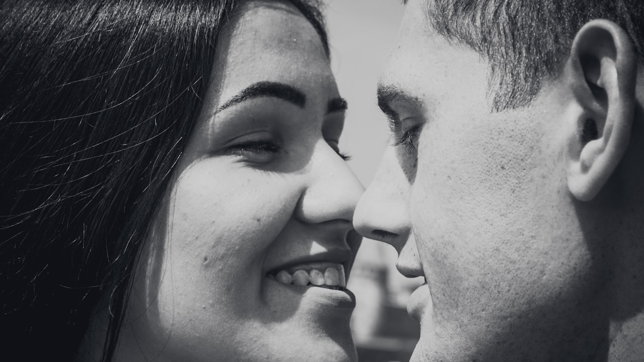 What Everybody Ought to Know About Mulcher Teeth