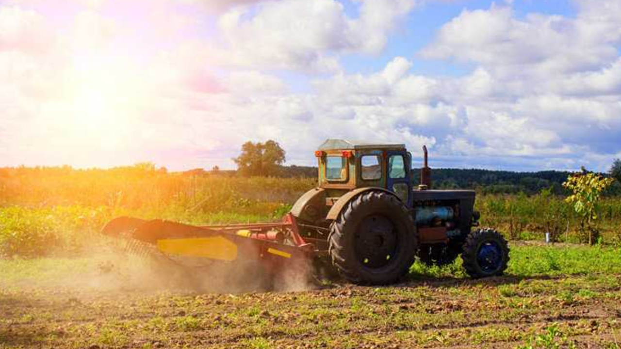 What Are The Main Characteristics Of Denis Cimaf Mulcher’s Blade Knives?