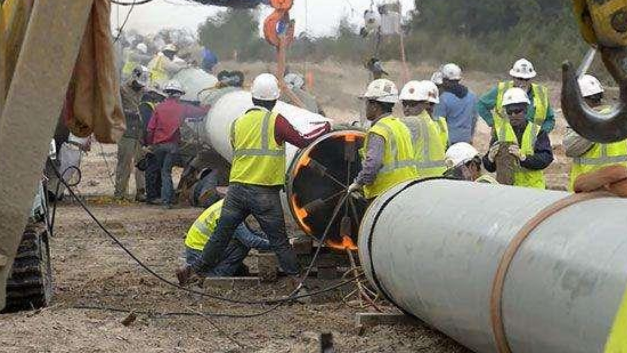 What Role do Chinese Pipe Importers Play in the Global Market?